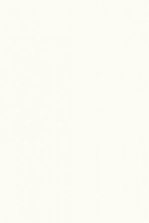 W1000 ST22 W1000 ST22