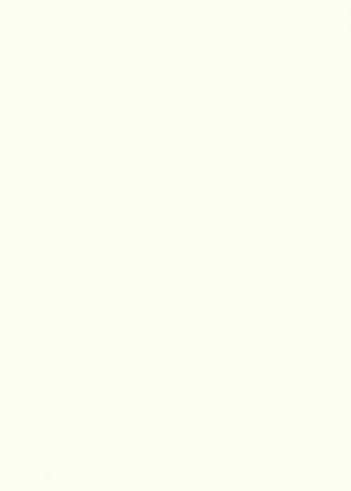 W1000 ST76 W1000 ST76